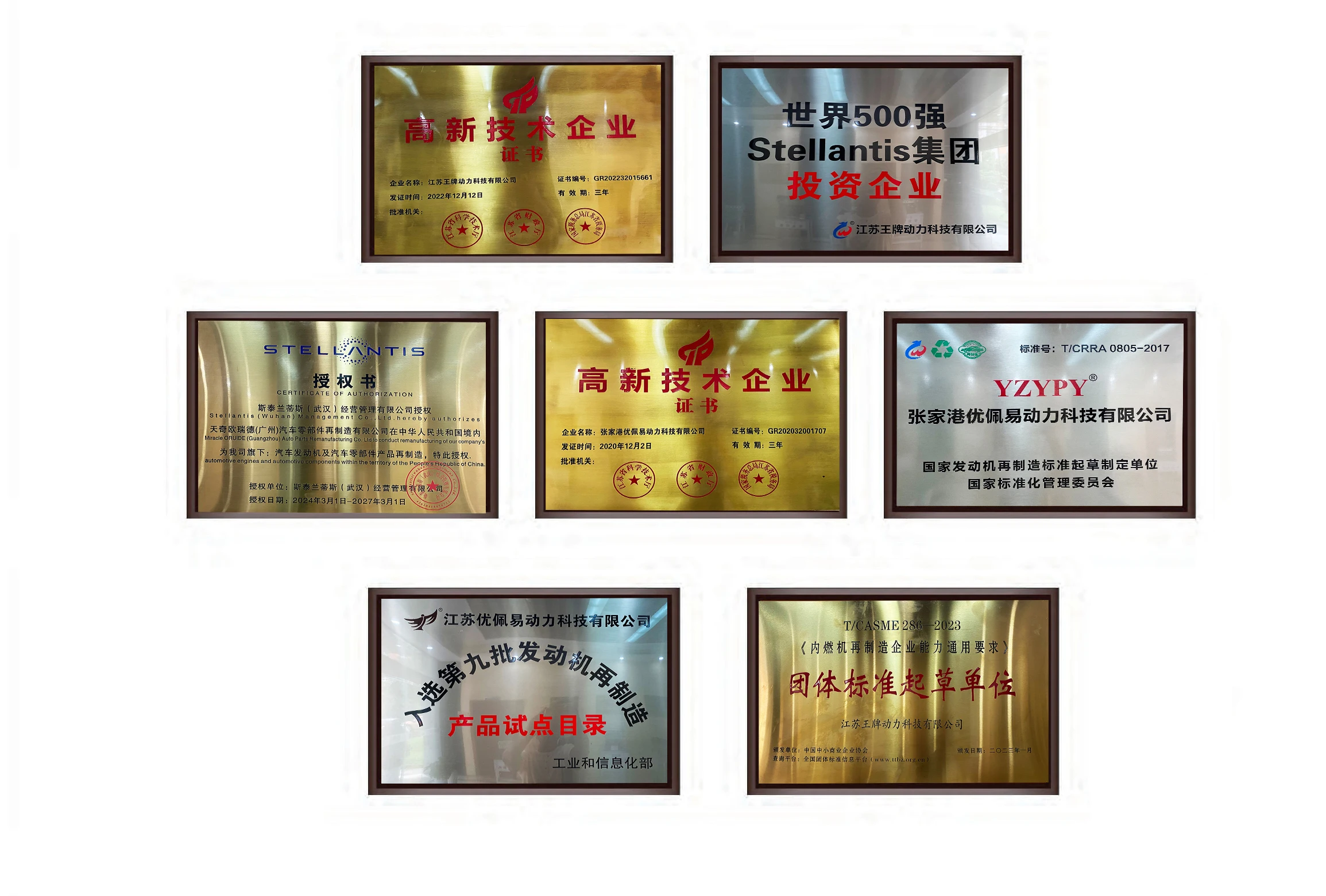 Company overview