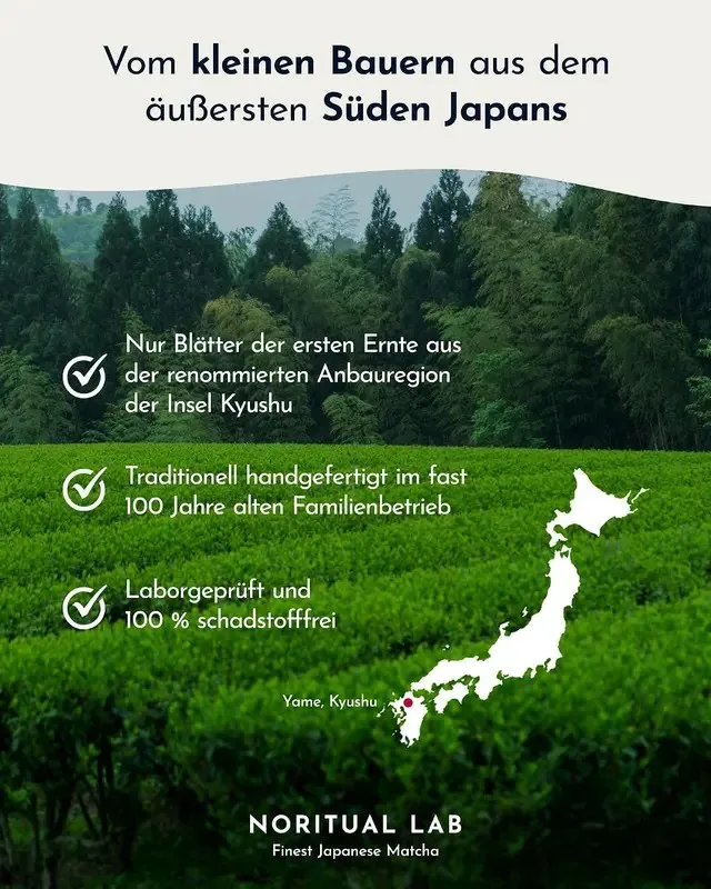 Teeplantage in Yame Kyushu Japan - NORITUAL LAB
