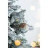 as Pic Color