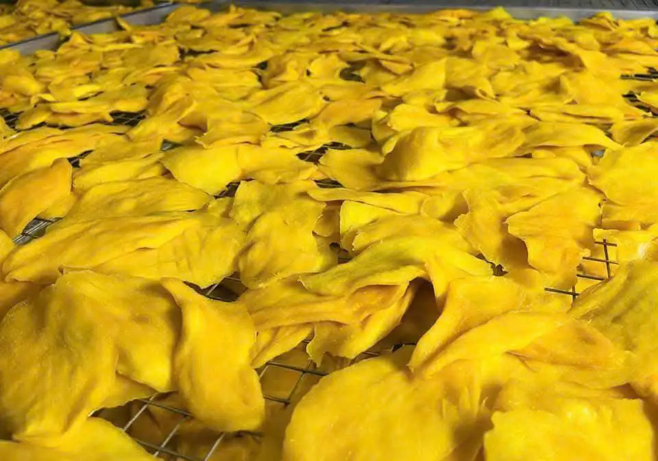 "Sliced Green Mango  Perfect for Salads & Pickles in the UK Market