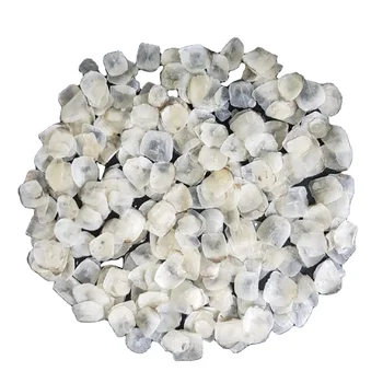 Hot Export 2024 Fish Scale Premium Quality From Vietnam Supplier - Buy ...
