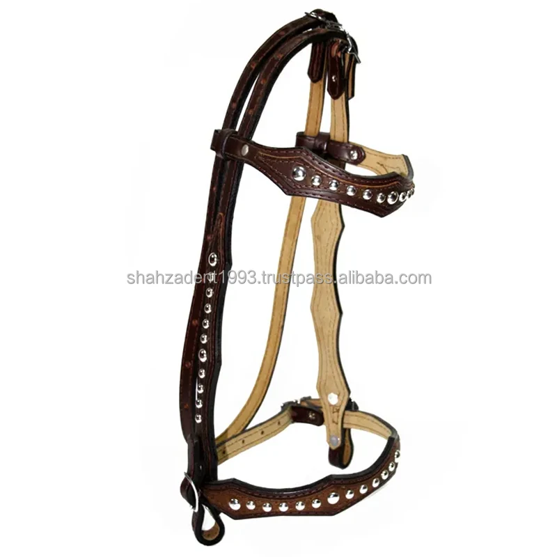 Leather Bling Brow Bands Equitem Leather English Bridle Padded Browband ...
