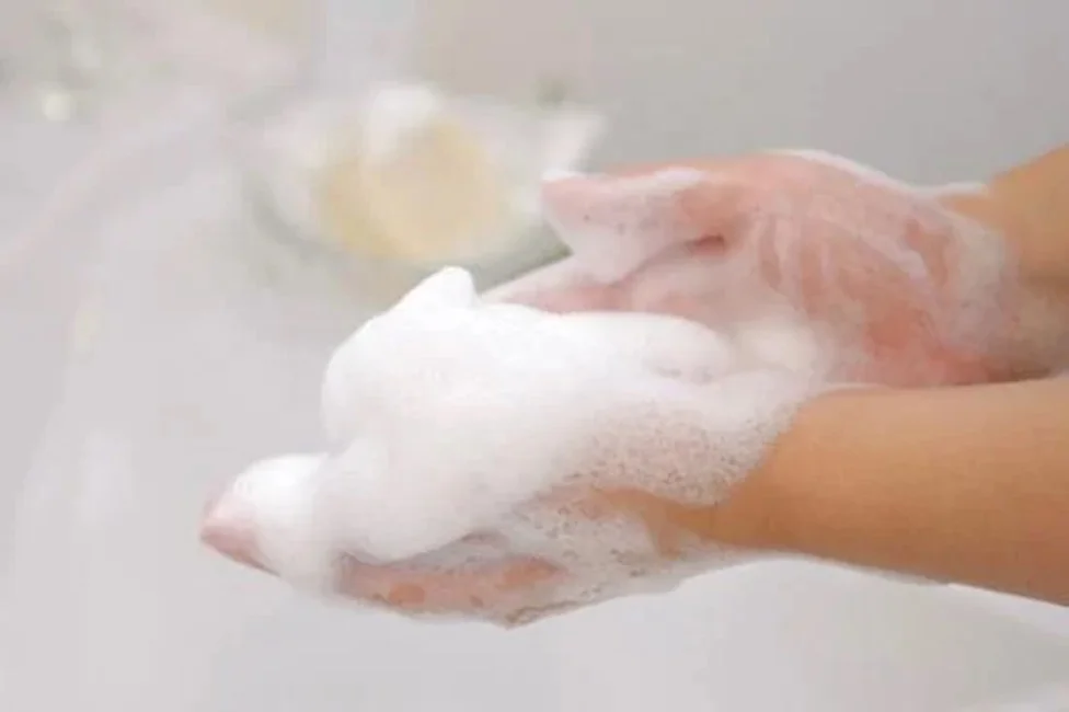 Made in Japan Skin Care Soap Made From Pearl Powder 25g Skin Care Soap Natural Soap Best Selling Pear Powder 2023