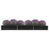 Anthracite Color