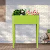 Fruit green Color