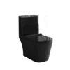 1200-Negro brillante