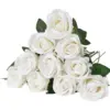 White Color