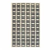 Ivory / Natural Cream