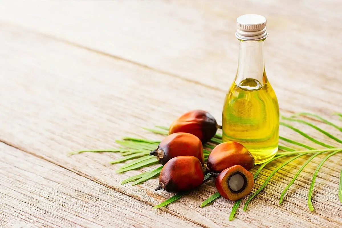 Wholesale Organic Refined High Quality Pure Palm Oil in Plastic Bottle & Bulk Drum for Cooking Factory Available Wholesale rate