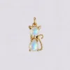 Rainbow Moonstone