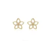 Rose d'or