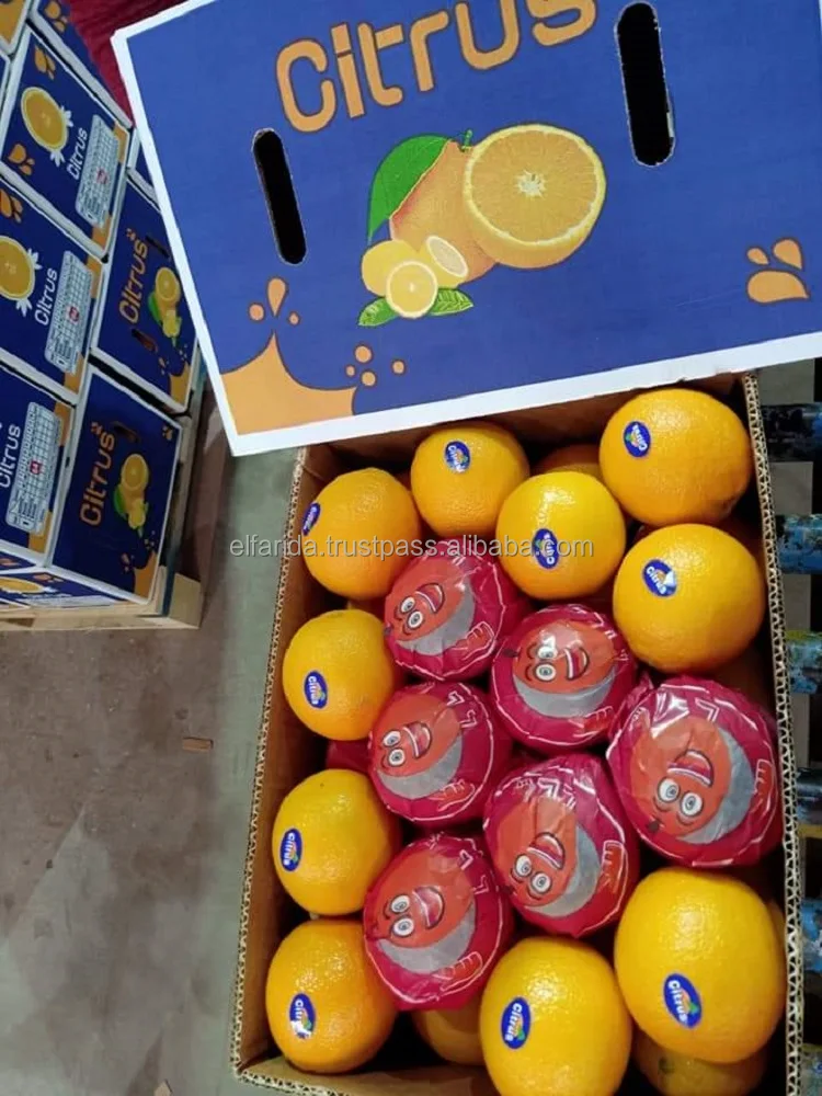 5.jpeg