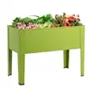 Fruit green Color