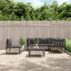 Anthracite Color