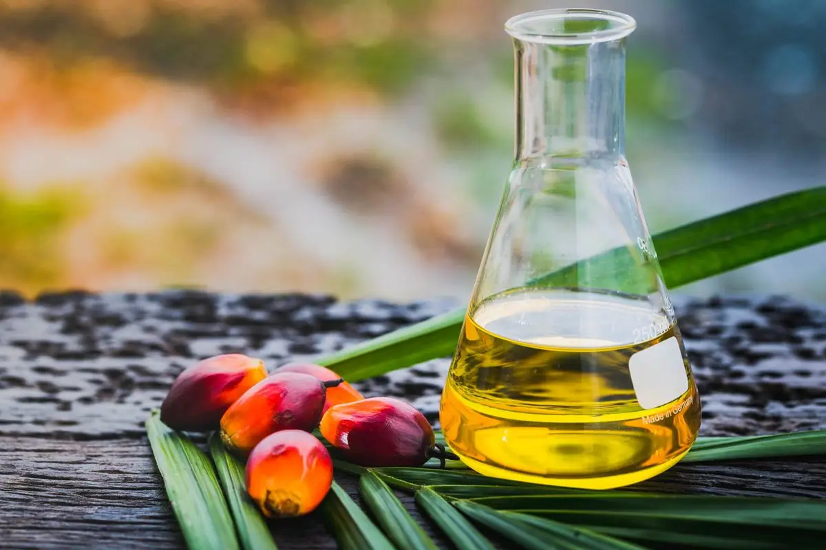 Wholesale Organic Refined High Quality Pure Palm Oil in Plastic Bottle & Bulk Drum for Cooking Factory Available Wholesale rate