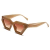 C5: Brown/ Brown Gradient