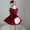 Rose garance