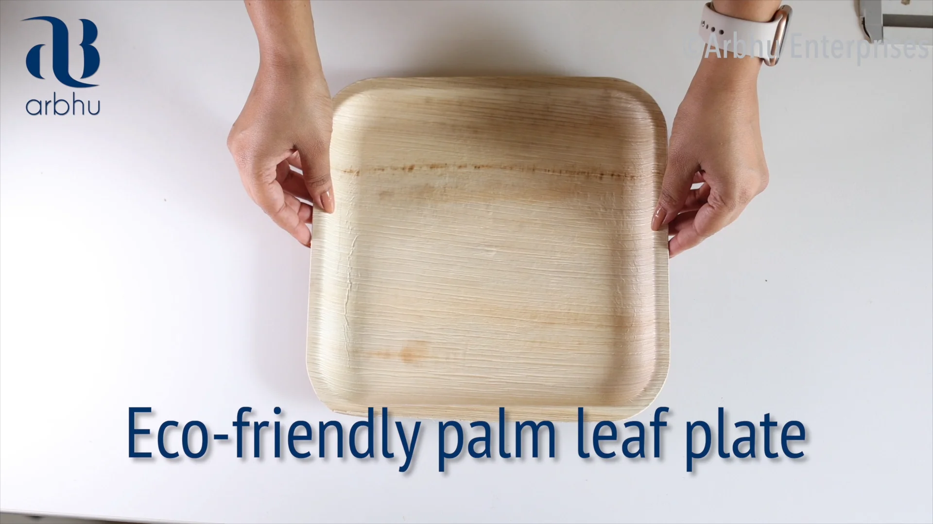 Indian Manufacturer Disposable Palm Leaf Plate,Dishes,And Bowls