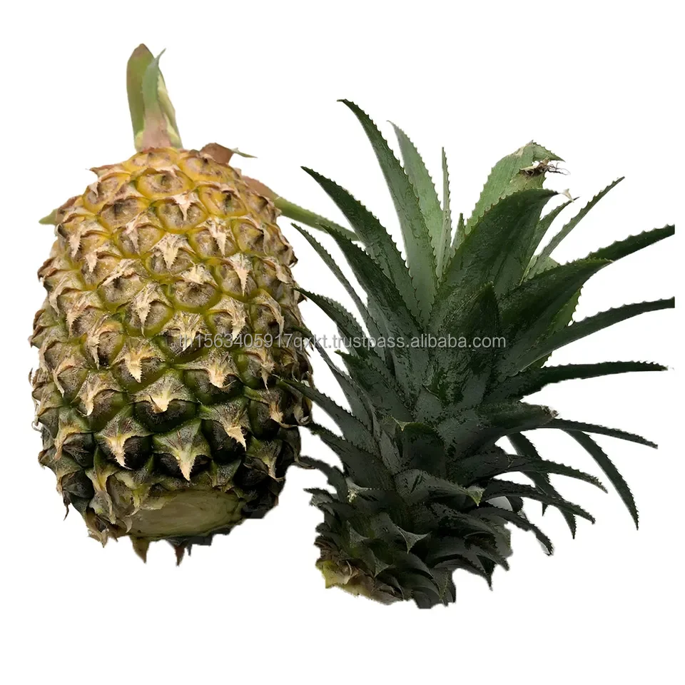 fresh Pineapple (3).jpg