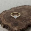 10K Gold (Moissanite)