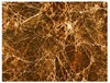 Golden Brown Marble