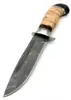 Tan Birch Bark, Dark Wenge Wood