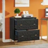 Black and Gold Color