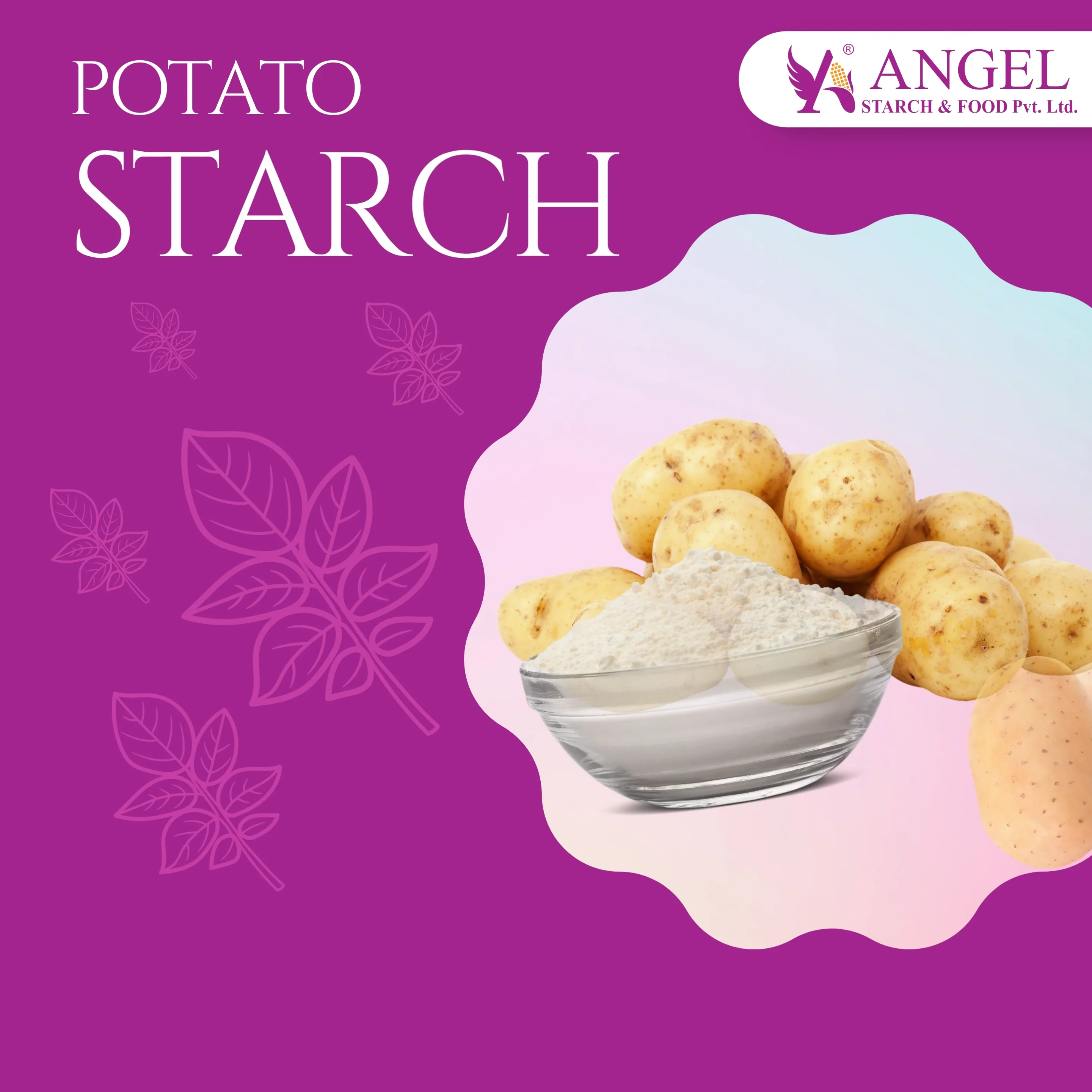 E 1422 Acetylated Distarch Adipate Potato Starch Based Flamas Ps Cook