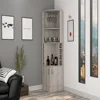 Light Gray Color