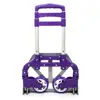 Purple Color