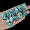 Precio por gramo de concha de abulón (paua) de Nueva Zelanda