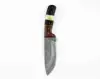 Rich Dark Walnut Wood, Jet Black Horn, Cream Bone