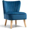 Blue Color