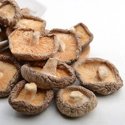 FRESH  MUSHROOM CREATE DRIED MUSHROOM or CANNED MUSHROOM