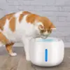 White Color
