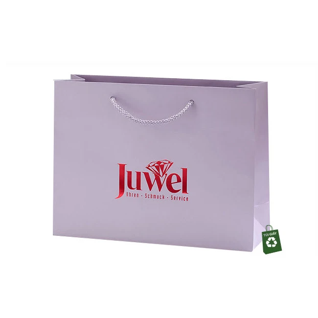 Luxury Custom Size Package Paper Handle Paper Bag Kraft Paper Shopping Bag