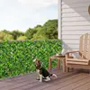 Green Color