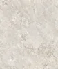 SHELL CREMA ENDLESS (60*60)