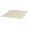 Beige Color