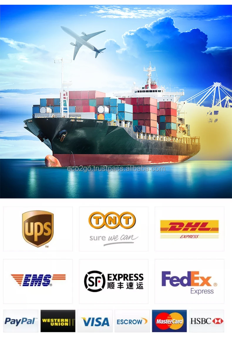 Best Selling Natural Bamboo Sticks/ Decorative Bamboo Sticks/ Bamboo