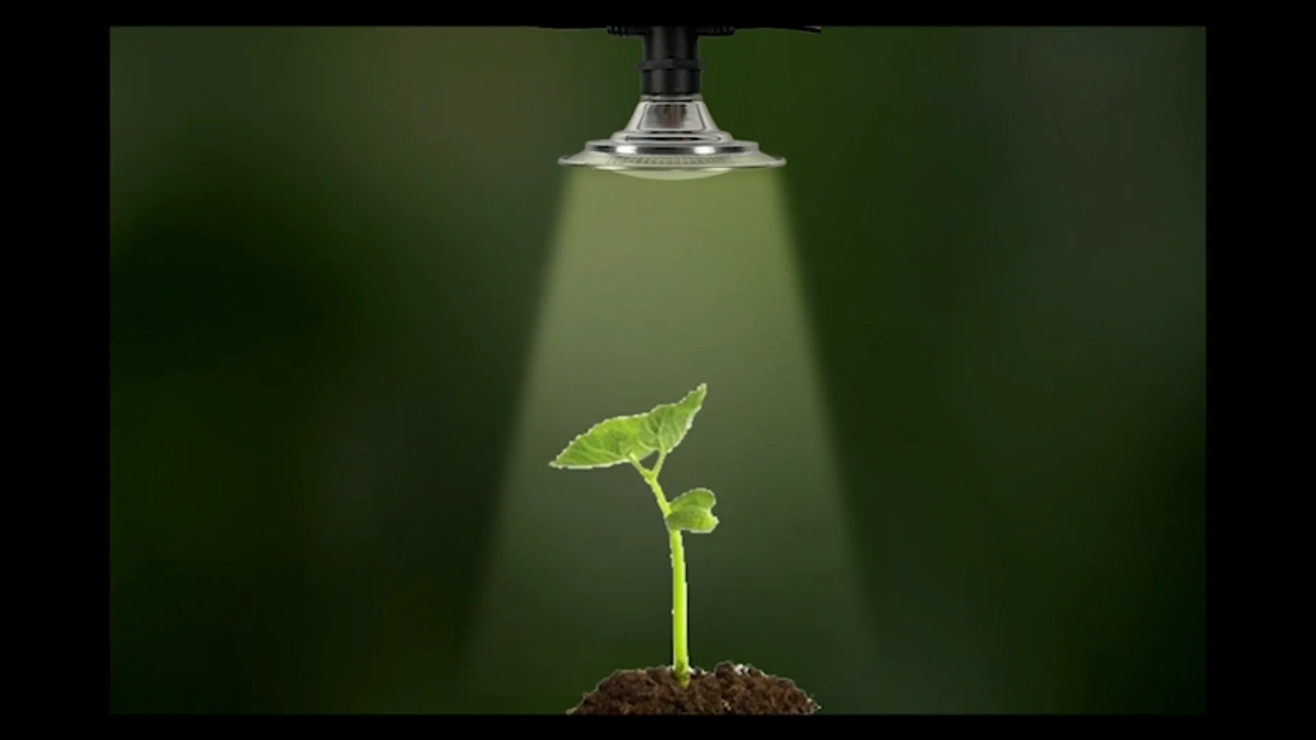 Full Spectrum Led Grow Light Seedling Farm Hydroponic E26 Bulb 15w