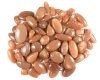 Peach, Sold by Weight(grams), 12 to 14pcs per 100g