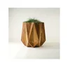 Natural wood Color