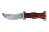 Deep Amber-Brown Burl Wood