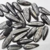 Orthoceras Pierre Précieuse Naturelle ORTHOCERAS Designer