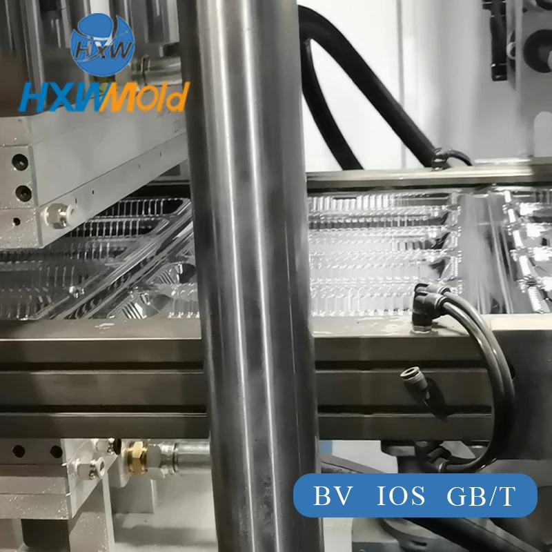 Disposable Plastic Thermoforming Machine Mold for Food for Making Boxes for Cake Lunch Sweet Sushi Fruit