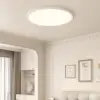 White Color