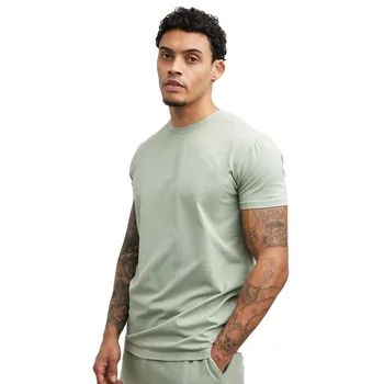 High Quality 100% cotton Summer Custom LOGO Print T-shirt Men's Blank Plain T Shirts Premium Cotton 210gsm t shirt