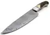 Natural Brown/Beige Antler Handle