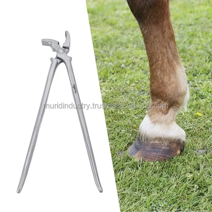 Horse Hoof Care & Nail Clinching Farrier Clincher Tool & Supplies New